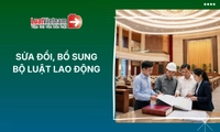 10+ quy định của Bộ luật Lao động 2019 sắp được sửa đổi, bổ sung