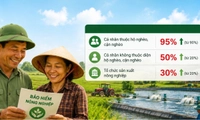 Cá nhân sản xuất nông nghiệp diện hộ nghèo được hỗ trợ đến 95% phí bảo hiểm nông nghiệp 