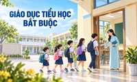 Trẻ em từ 6 đến 14 tuổi chưa hoàn thành tiểu học thuộc diện giáo dục bắt buộc