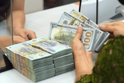 Law No. 23/2026/QH16 amending Law on the State Bank of Vietnam now available