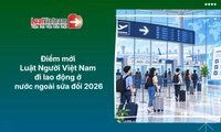 10 điểm mới của Luật Người lao động Việt Nam đi làm việc ở nước ngoài sửa đổi 2026