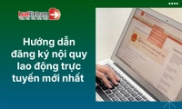 Hướng dẫn đăng ký nội quy lao động online 2026