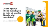 Mức phạt doanh nghiệp không tổ chức huấn luyện an toàn vệ sinh lao động mới nhất