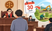 Bị cáo có thể được hoãn phiên tòa tối đa 30 ngày để khắc phục hậu quả vi phạm đất đai