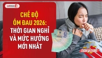 Video: Mức hưởng chế độ ốm đau 2026 mới nhất