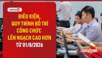 Video: Điều kiện bố trí công chức lên ngạch cao hơn từ 01/8/2026