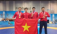 Từ 01/6/2026, huấn luyện viên thể thao Quân đội được hưởng mức lương đến 430.000 đồng/ngày