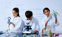 91 ngành khoa học, kỹ thuật, công nghệ chiến lược được áp dụng chính sách học bổng