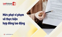 Vi phạm quy định về thực hiện hợp đồng lao động và mức phạt doanh nghiệp cần lưu ý