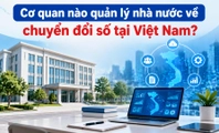 Cơ quan nào quản lý nhà nước về chuyển đổi số tại Việt Nam?