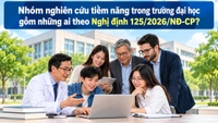 Nhóm nghiên cứu tiềm năng trong trường đại học gồm những ai theo Nghị định 125/2026?