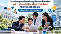 Doanh nghiệp hợp tác nghiên cứu khoa học với trường đại học được thực hiện những hoạt động gì?
