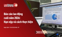 Hạn nộp báo cáo tình hình sử dụng lao động cuối năm 2026 và cách nộp