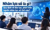 Nhân lực số là gì? Quy định về đào tạo, phát triển nguồn nhân lực số thế nào?