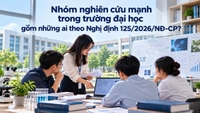 Nhóm nghiên cứu mạnh trong trường đại học gồm những ai theo Nghị định 125/2026/NĐ-CP?
