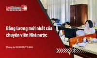 Bảng lương mới nhất của chuyên viên Nhà nước năm 2026