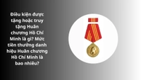 Điều kiện được tặng hoặc truy tặng Huân chương Hồ Chí Minh là gì? Mức tiền thưởng danh hiệu Huân chương Hồ Chí Minh?