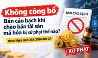 Không công bố Bản cáo bạch khi chào bán tài sản mã hóa bị xử phạt thế nào?