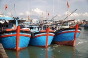 Từ năm 2027, tàu cá từ 12 mét trở lên phải sử dụng nhật ký khai thác thủy sản điện tử