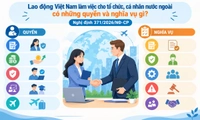 Lao động Việt Nam làm việc cho tổ chức, cá nhân nước ngoài có những quyền và nghĩa vụ gì?