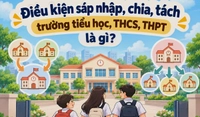 Điều kiện sáp nhập, chia, tách trường tiểu học, THCS, THPT là gì?
