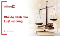 Chế độ dành cho luật sư công theo quy định mới nhất