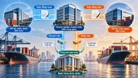 Nguyên tắc thanh toán và chuyển tiền liên quan đến kinh doanh chuyển khẩu hàng hóa được quy định như thế nào?