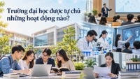 Trường đại học được tự chủ những hoạt động nào theo Nghị định 334/2026/NĐ-CP?