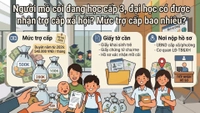 Người mồ côi đang học cấp 3, đại học có được nhận trợ cấp xã hội? 