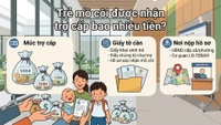 Trẻ mồ côi được nhận trợ cấp bao nhiêu tiền? Cần giấy tờ gì để nhận trợ cấp? Nộp ở đâu?
