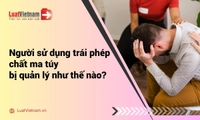 Người sử dụng trái phép chất ma túy bị quản lý như thế nào theo Luật năm 2025?