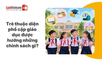 Toàn bộ chính sách đối với trẻ thuộc diện phổ cập giáo dục [Mới nhất]