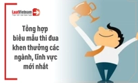 Trọn bộ biểu mẫu thi đua khen thưởng các ngành, lĩnh vực [Cập nhật mới nhất]