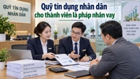 Quỹ tín dụng nhân dân được cho thành viên là pháp nhân vay tối đa bao nhiêu?