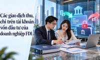 Tài khoản vốn đầu tư của doanh nghiệp FDI được phép thực hiện những giao dịch thu, chi nào?