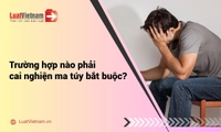 Trường hợp nào phải cai nghiện ma túy bắt buộc theo Luật Phòng, chống ma túy 2025?