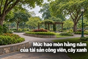Mức hao mòn hằng năm của tài sản công viên, cây xanh được tính thế nào?