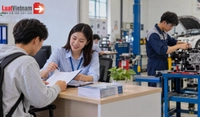 Trường trung cấp, trường cao đẳng được tự chủ tuyển sinh và tổ chức đào tạo như thế nào?