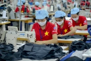 Vietnamese workers working for foreign organizations and individuals: Rights and obligations
