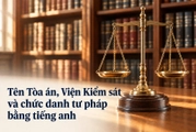 Tên Tòa án nhân dân tối cao, Viện kiểm sát nhân dân tối cao và các chức danh tư pháp, kiểm sát được dịch sang tiếng Anh thế nào?
