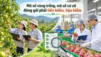 Trường hợp nào cấp mã số vùng trồng, mã số cơ sở đóng gói phải tiền kiểm, trường hợp nào hậu kiểm?