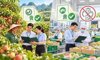 Vùng trồng, cơ sở đóng gói đã có chứng nhận chất lượng, an toàn thực phẩm có phải kiểm tra lại các nội dung đã được đánh giá không?