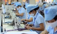 Người lao động thỏa thuận không tham gia BHXH bắt buộc bị phạt đến 1 triệu đồng