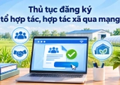 Thủ tục đăng ký tổ hợp tác, hợp tác xã qua mạng được thực hiện như thế nào?