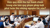 Việc quy định thủ tục hành chính trong văn bản quy phạm pháp luật phải tuân thủ những nguyên tắc nào?