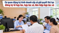 Cơ quan nào giải quyết đăng ký tổ hợp tác, hợp tác xã, liên hiệp hợp tác xã?