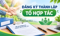 Đăng ký thành lập tổ hợp tác cần hồ sơ gì, bao lâu được cấp giấy chứng nhận?