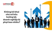 Doanh nghiệp không bổ sung thông tin chủ sở hữu hưởng lợi bị phạt thế nào? 