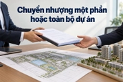 Nhà đầu tư trúng thầu được chuyển nhượng một phần hoặc toàn bộ dự án trong trường hợp nào?