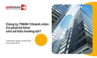 Công ty TNHH 1 thành viên có phải kê khai chủ sở hữu hưởng lợi không?